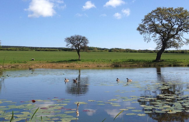 The Grainary Farm Stay - Foto 56