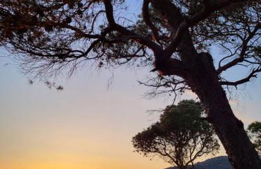 Mansarda Vista Mare Nel Verde - Foto 14