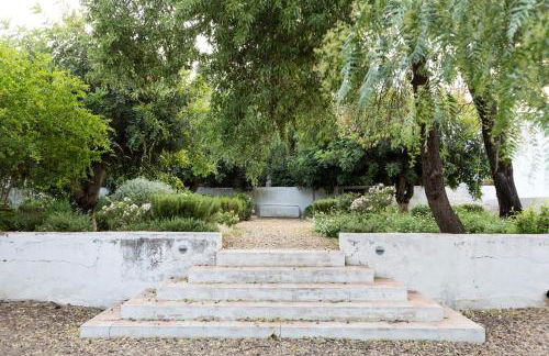 Casa do Xão - Foto 40