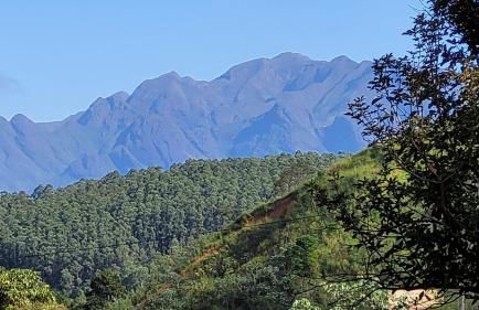 Hotel Fazenda Villa-Forte - Photo 149