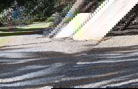 Villa Joyosa- Las Terrenas Beachfront Villa - Foto 39