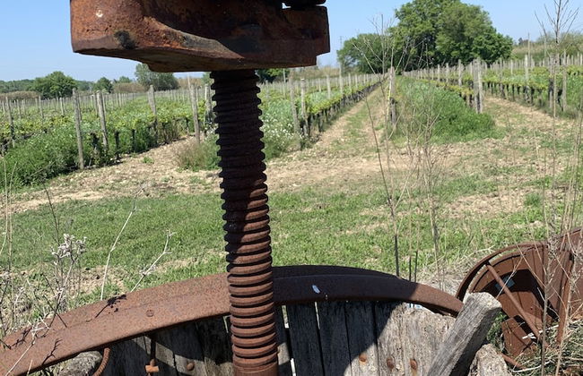 Agriturismo De Luca - Photo 18