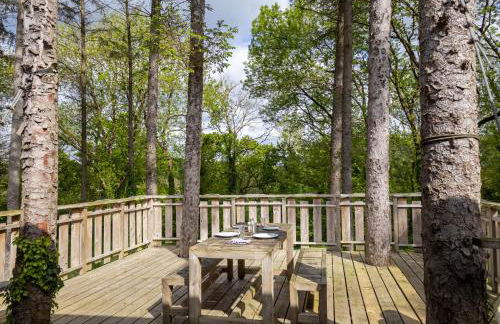 La Cafoutche Tiny - Foto 23