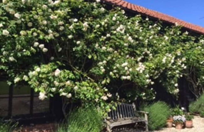 The Hayloft, Clopton - Photo 17