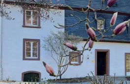 Ferienhaus Martinshof - Foto 50