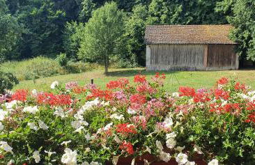Gasthaus Zum Schneider - Foto 22