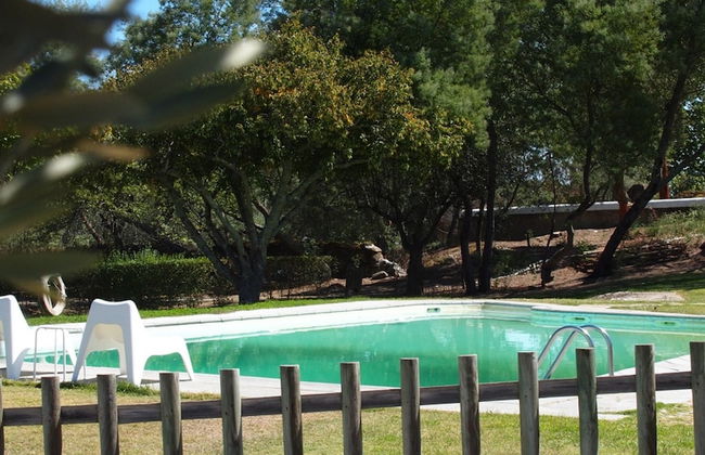 Quinta dos Ribeiros - Photo 52