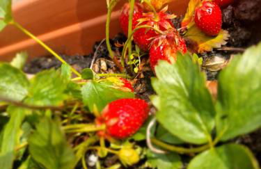 Beach house Mablethorpe Stylish Spacious, 2 bedrooms sleeps 6 200m to beach - Foto 45