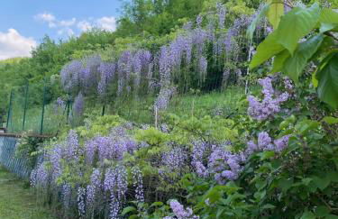 Cascina Bruna - Terrazza panoramica e giardino a Bobbio, Val Trebbia - Foto 14