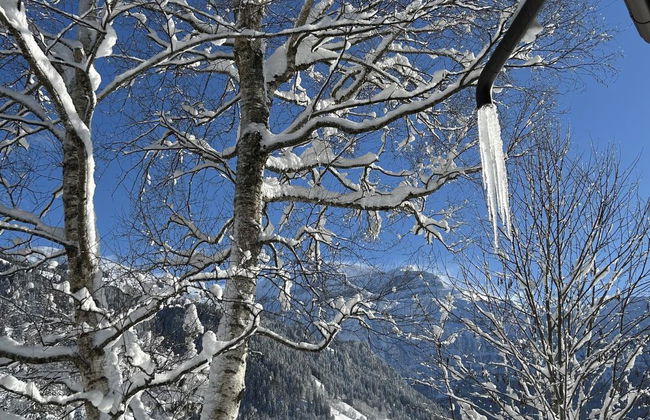 Chalet Claudia - Foto 12