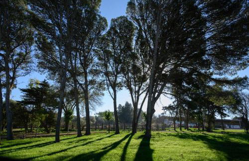 Cortijo de Guerra - Foto 45