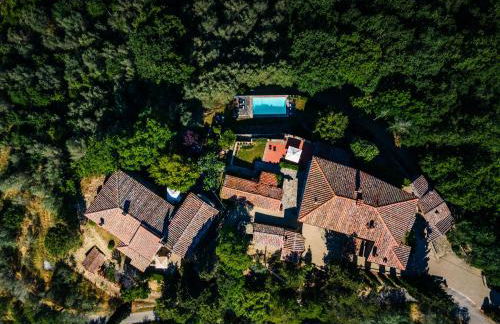 Borgo San Pietro in Polvano (Canonica) - Foto 76