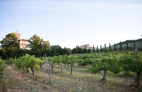 Tenuta Lupinari - Foto 72