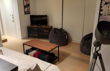 Duplex les Myrtilles LES CARROZ centre station - Photo 10