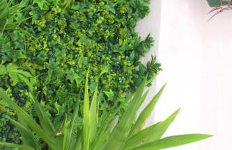 NatureHouse - Foto 16