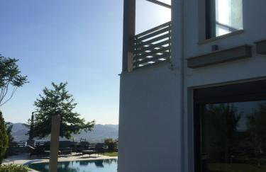 VILLA KTIMA MELINA Pelio ΒΙΛΑ ΜΕ ΠΙΣΙΝΑ ΒΟΛΟΣ ΠΗΛΙΟ - Foto 26