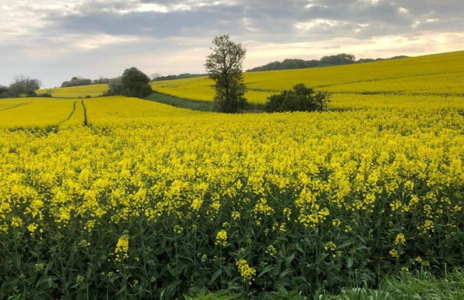 Charming Fisherman's Cottage - By Traum Ferienwohnungen - Foto 13