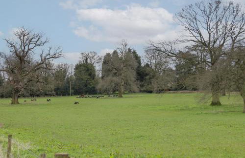 The Lazy Squire by The Water - Foto 22