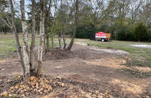 Country Oasis - Entire Home - Foto 29