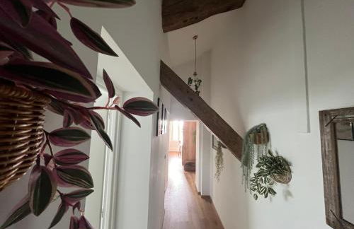 Louis XIII, Le Somail. - Foto 43