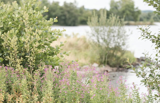 Luxury Waterfront Self-Catering Cabins - Photo 56