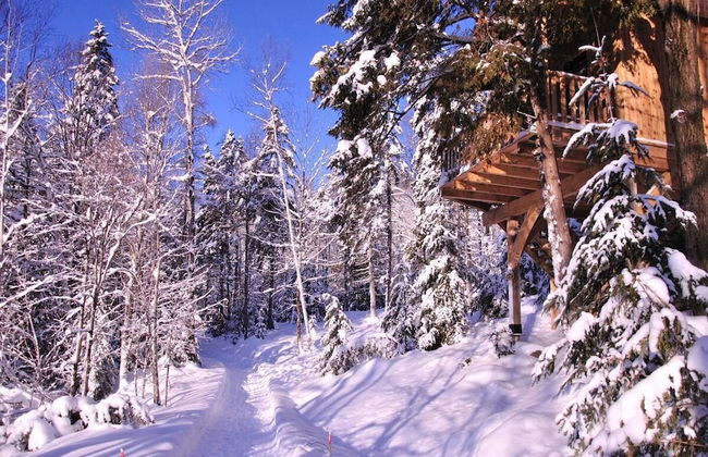 Les Chalets du Trappeur - Photo 31