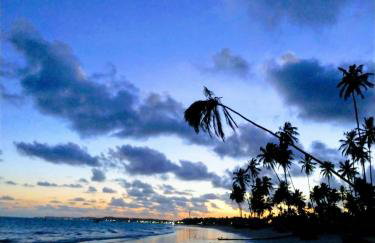 Flats Parada Obrigatoria - Foto 64