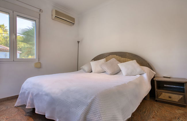 Eucaliptus - Foto 10