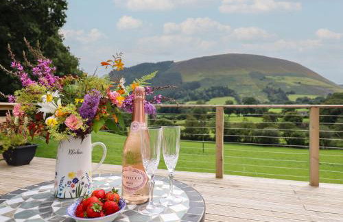 Caban Tirion - Photo 14