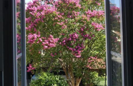 Calme et confort centre ville avec parking privé - Foto 26