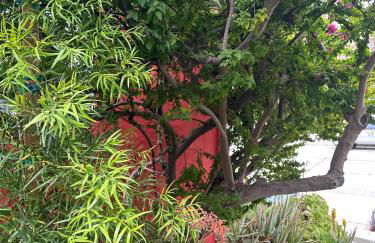 Modern, Remodeled Echo Park House-Walk to Sunset Blvd, Dodgers Stadium, Shops, Bars, Restaurants, Lake, Concerts - Photo 19