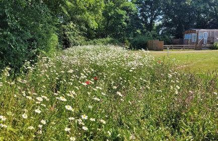 Postwood Gardens Balmoral Country Cabin - Photo 7
