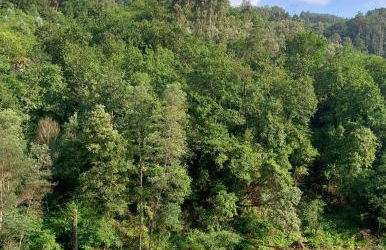 Casa da Quinta Costa D'Além Gerês - Foto 18