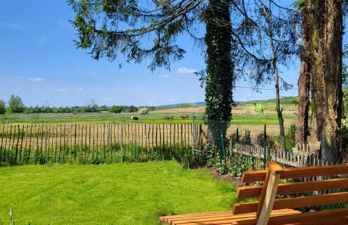 Komfort Ferienwohnungen mit Wellness-Garten - Gästehaus am Bachlauf - Losheim am See - Foto 17