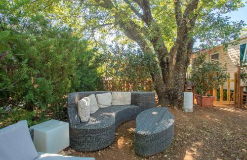 Salamandre - Foto 17