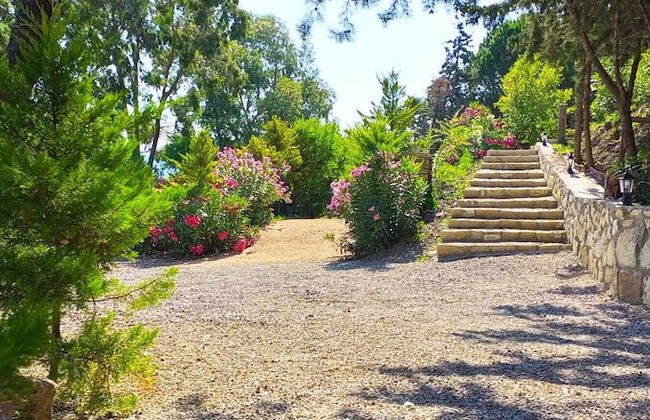 Sole Foca ( Ages 12+ ) - Foto 68