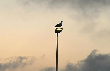 La Casa del Moro - Foto 35