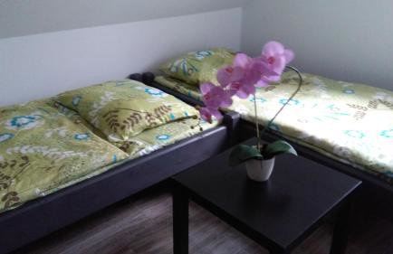 Agroturystyka,, Ranczo Kruszynki" - Foto 65