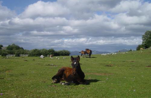 Casas rurales Valle de Bueida, jacuzzi solo en las casas el El Palacio y Viscárcel - Foto 87