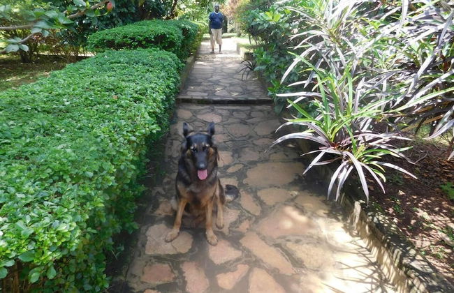 Remarkable 2-bed Cottage Along Gayaza Road - Foto 12