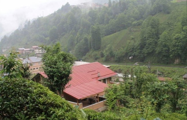 Yesil Doga Tatil Apart - Foto 20