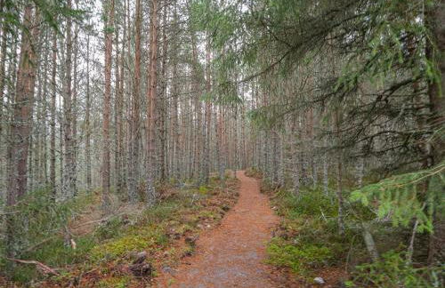 Osprey Apartment - Foto 40