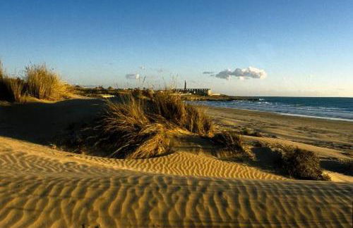 Ulivo Apartment - Foto 41