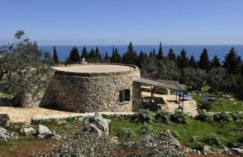 Pajara Rugiada - Foto 1