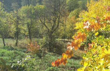 Frankenberg-am-Wald Frankenberg an der Eder - Foto 28