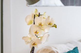 Sea Clouds - Foto 18