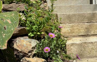 Back Lane Cottage Cornwall - Foto 10