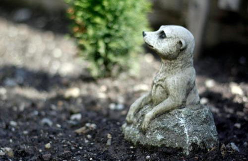 Ferienwohnung Gessert - Foto 17