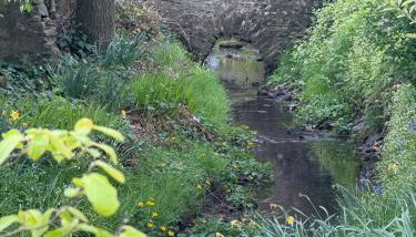 Garden Studio for Two - Photo 2