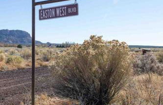 Dusty Rose The Wild West 40 Homestead - Foto 18